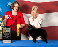 #26 9-12 Bitch 3rd Raslie Henderson Peach Rumford