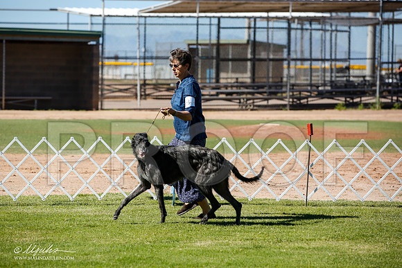 _JN_5921-AlamogordoOct2014-HR3