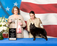 #127 Vet 12+ Sweeps Thurs Dr Mary Kraus Diane Margaret Ramsey Judge June Moore