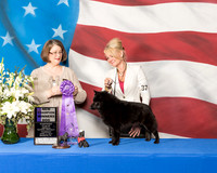 #37 WD Sweeps Thurs Krista Nuovo Judge June Moore