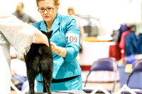 #109 BOB Sat Debra Decker