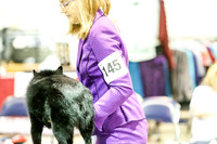 #145 BOB Sat Kathrine Carmen Kathy Lytle