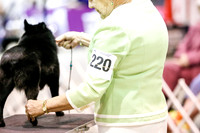 #220 BOB SAT Dara Wilcox