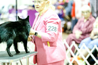 #228 BOB Sat Lee Ann Stusnick Kathy Gaul Montgomery