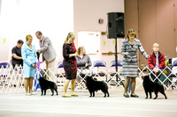 Best of Breed SAT ALL