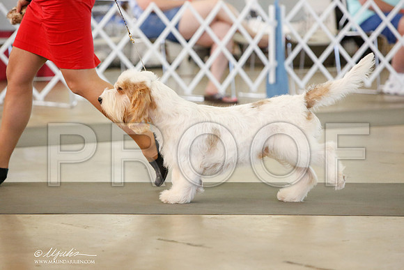 _JJ_7555-DallasJul2014-HR3