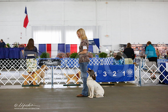_JN_8493-DallasJul2014-HR3