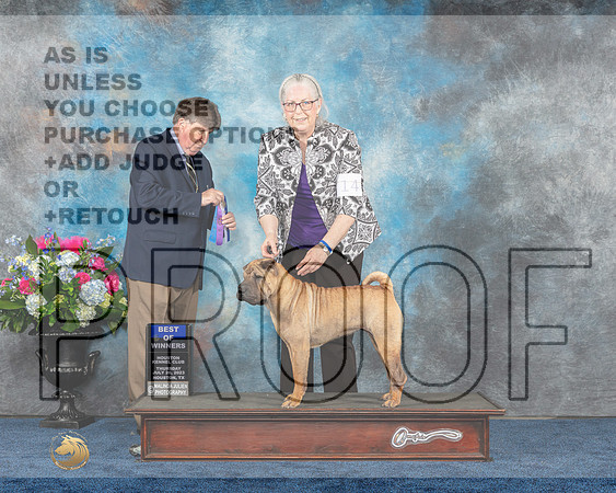 Chinese Shar Pei #14 Thurs WB BOW Judge Olvis-MJP_2211e-Hstn2023_HR3