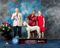 Heather Daney Houston 2023