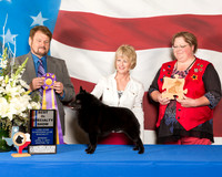 Amy Halterman WINS