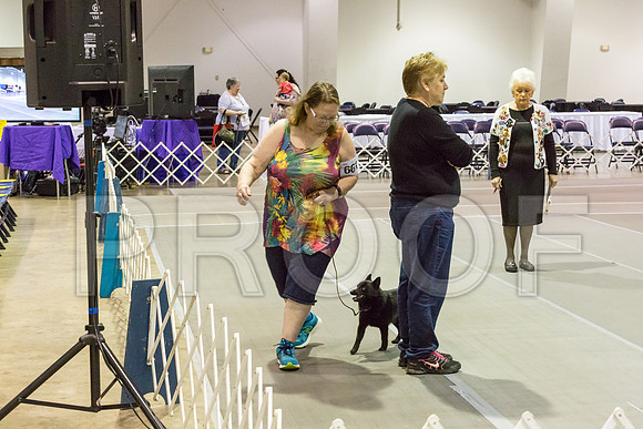 00017__JJ_2538-SchipMar2017-web