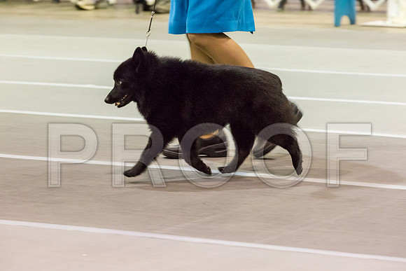 00003__JJ_3585-SchipMar2017-web