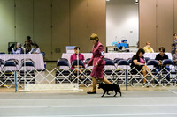 Dorothy Clem 2 dogs