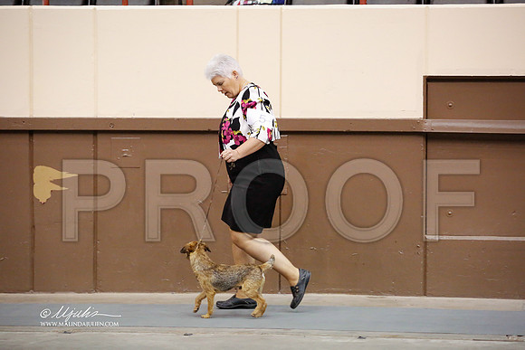 BordT-4014-SANov13-HR