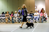 Kathleen Bastian #31 top 20 #226