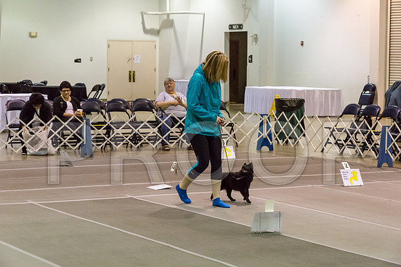 00011__JJ_2783-SchipMar2017-web