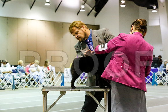 JJ5945SchipMar2017web