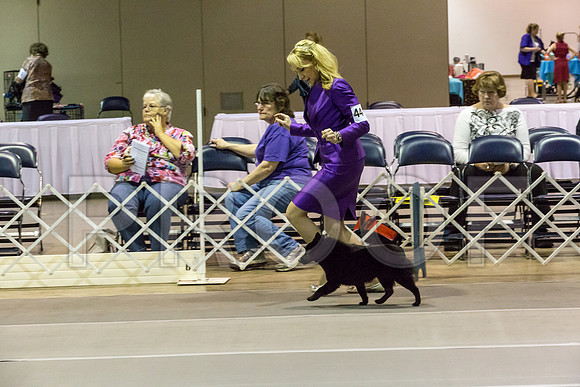 JJ3362SchipMar2017web