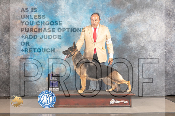 German Shepherd Dog #20 THUR WBBOW Judge Polly Smith_MJ_3506_Houston_2022_HR3