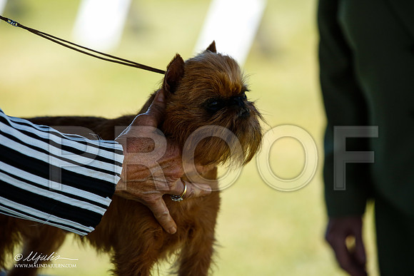 _JJ_0636-AlamogordoOct2014-HR3