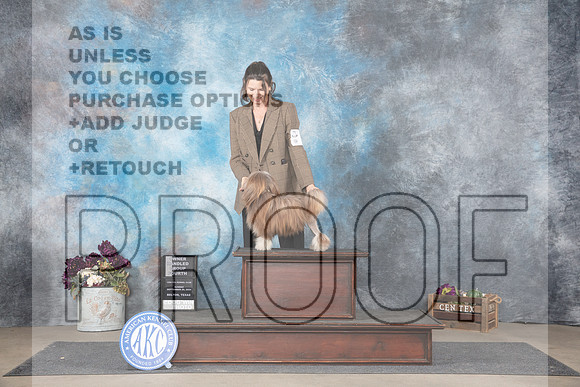 Lochen #6 OHG4 Sun Judge Gloria Kerr__JP_8016_Belton_2024_HR3