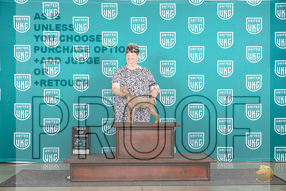 Miniature Pinscher #1067 Fri BOW Judge Diane Price__JP_1576_Premier_2024_HR3