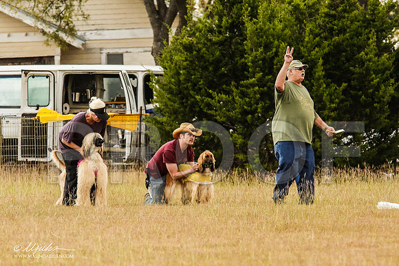 _MJ_5021-AfgBeltonOct2014-HR3