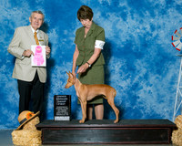 Cirnechi Dell Etna #6 Sat Oh G1 Turner Charles Gracie Turner Lucia Prieto Judge Mr Terry Stacy