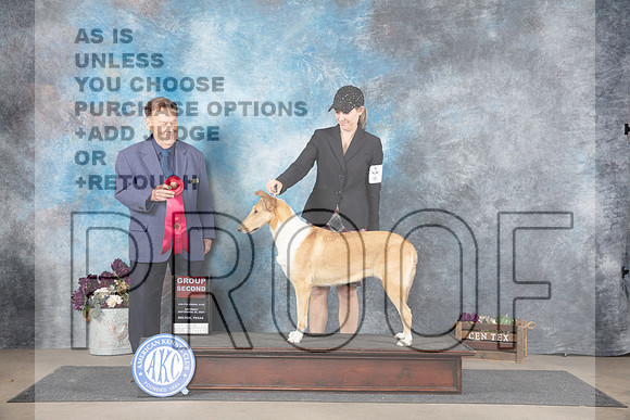 Collie Smooth #8 Sat G2 Judge Del Richards__JP_7370_Belton_2024_HR3