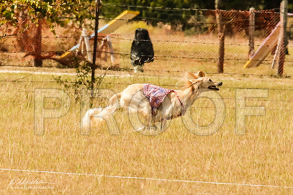 _MJ_4754-AfgBeltonOct2014-HR3