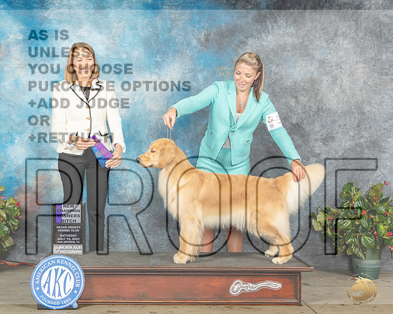 Golden Retriever #32 Sat WBCH Judge Lee WhittierMJP_8830e_SA2023_HR3