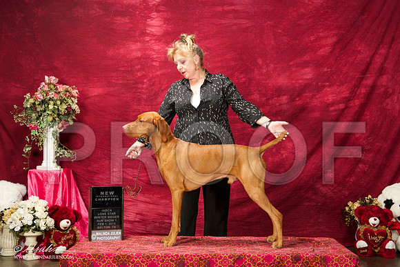 _ST_2853-BeltonJan2015IABCA-HR3
