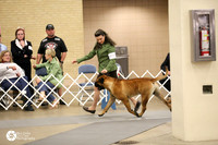 Open Dogs Fri Ring