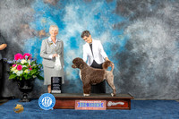 Jan Allred Houston 2023 2