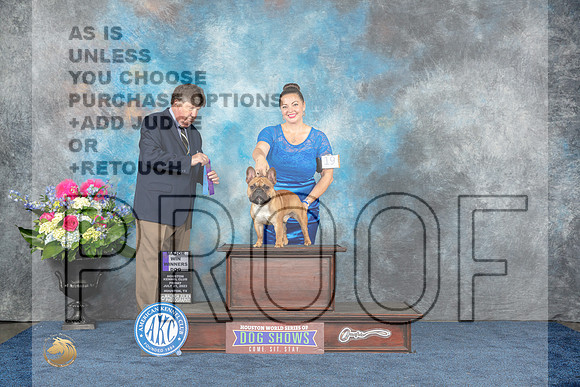 French Bulldog #19 Fri WD Judge Charles Olvis-MJP_3774e-Hstn2023_HR3
