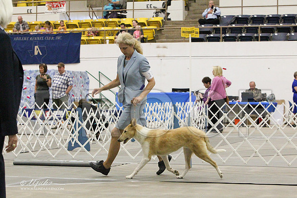 CollieS-7845LR