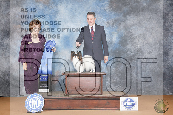 Papillion #21 Sat G1 Judge Jean Nelson_WP_0340-NRKC 2025-HR3