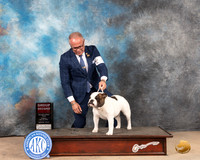 Bulldog #6 Sun G2 Judge Gloria Kerr