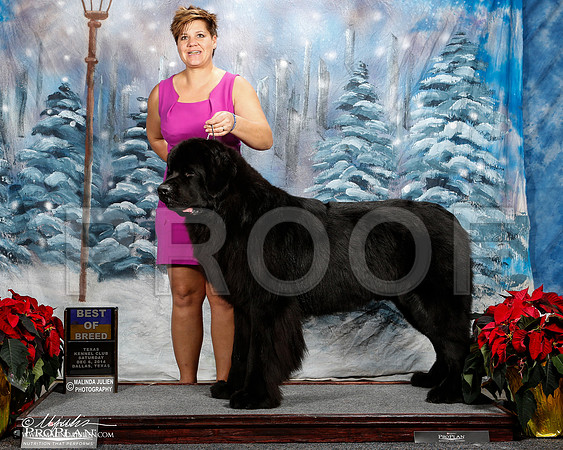 _ST_8594-2-DallasDec2014-HR3
