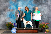 Brittany #6 Sat WBM Judge Robert E Stein