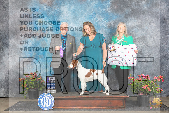 Brittany #6 Sat WBM Judge Robert E Stein__JP_5041_San Antonio_2024_HR3