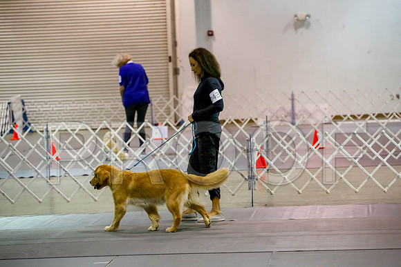 _J_L6199-MsqtApr2017-HR3