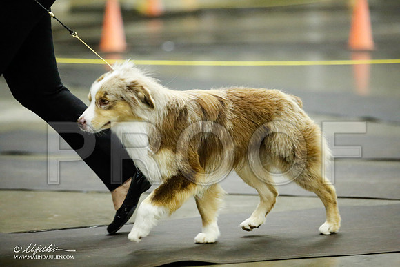 _JJ_6275-BeltonJan2015IABCA-HR3