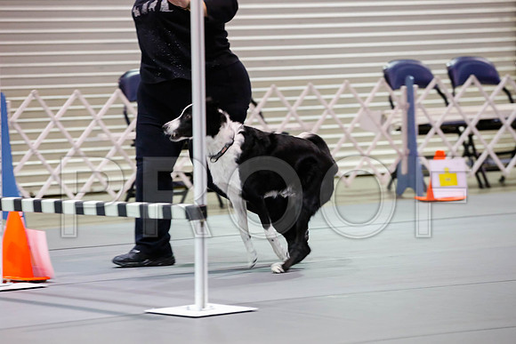 _J_L8066-MsqtApr2017-HR3