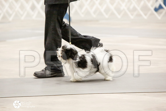 _CK_8858-AblnMay2014-web