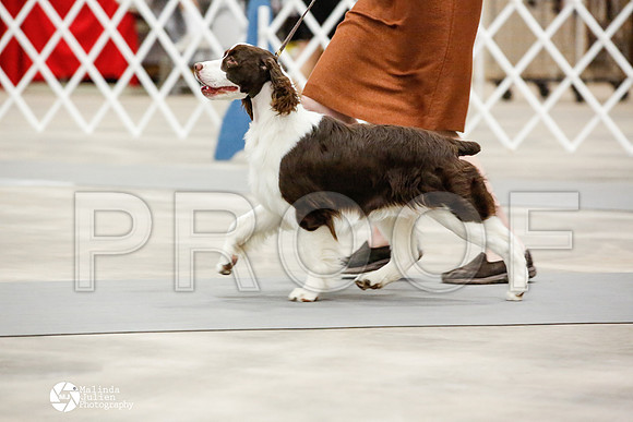 _JN_0495-AblnMay2014-web