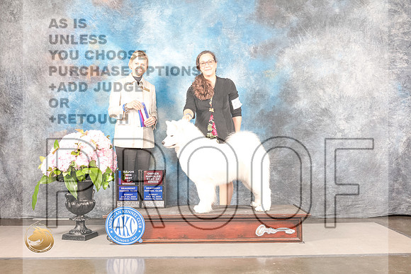 Samoyed #22 SUN BOW OHBOB Majo Judge Patricia SosaSamoyed #22 SUN BOW OHBOB Majo Judge Patricia Sosa_MJ_7913_Houston_2022_HR3_Houston_2022_HR3