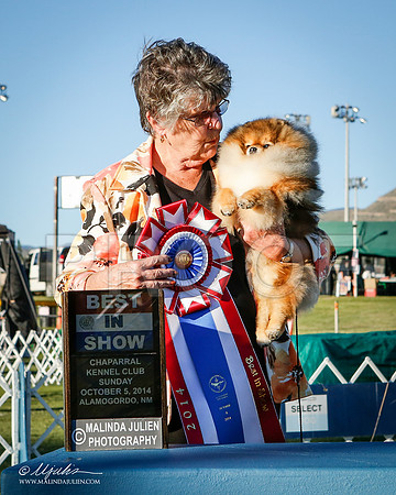 _ST_3600-2-AlamogordoOct2014-HR3