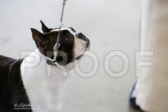 _CK_4691-DallasJul2014-HR3