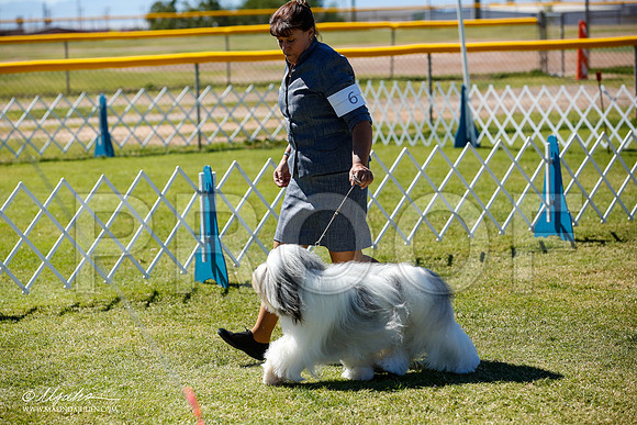 _JN_4889-AlamogordoOct2014-HR3